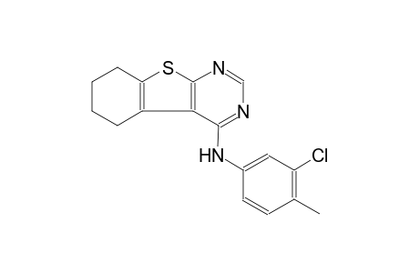 N-(3-chloro-4-methylphenyl)-5,6,7,8-tetrahydro[1]benzothieno[2,3-d]pyrimidin-4-amine