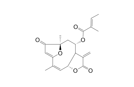 LYNCHOPHOLIDE