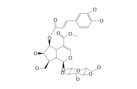 ARBORTRISTOSIDE B