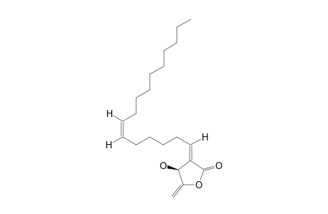 ISOLINDERENOLIDE