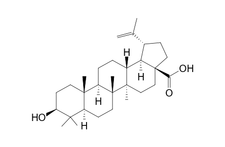 Betulinic acid