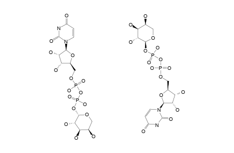 URIDINE-5'-(ALPHA/BETA-L-ARABINOPYRANOSYL)-DIPHOSPHATE