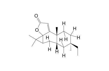 Fischeria A