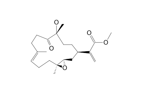 SINULAFLEXIOLIDE_H