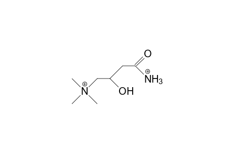 4-Trimethylammonio-3-hydroxy-butanamide dication