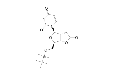 5'-O-(TERT.-BUTYLDIMETHYLSILYL)-URIDINE-2'-DEOXY-2'-ALPHA-C,3'-O-GAMMA-BUTYROLACTONE;2,3-DIHYDRO-[5'-O-(TERT.-BUTYLDIMETHYLSILYL)-2',3'-DIDEOXYURI