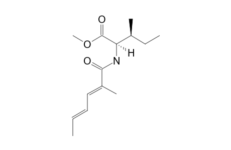 (2R,3S)-3-METHYL-2-[(2'E,4'E)-2'-METHYLHEXA-2',4'-DIENOYLAMINO]-PENTANOIC-ACID-ETHYLESTER