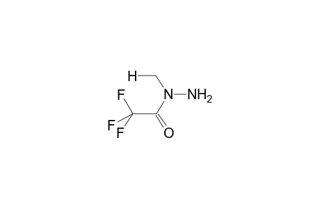 (E)-N-METHYL-N-TRIFLUOROACETYLHYDRAZINE