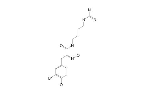 CLAVATADINE_E;(2-E)-3-(3-BROMO-4-HYDROXYPHENYL)-N-(4-CARBAMIDAMIDOBUTYL)-2-(HYDROXYIMINO)-PROPANAMIDE