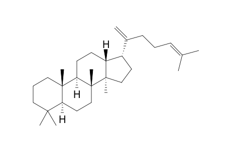 17-epi-dammara-20(21)-ene,24-diene