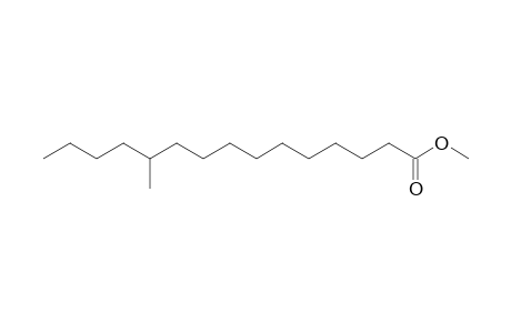 METHYL-11-METHYLPENTADECANOATE