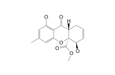 4A-CARBOMETHOXY-4,8-DIHYDROXY-6-METHYL-1,4,4A,9A-TETRAHYDRO-XANTHONE