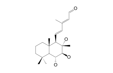 Sterebin J