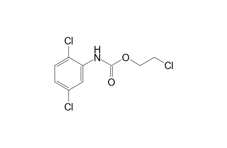 2,5-dichlorocarbanilic acid, 2-chloroethyl ester