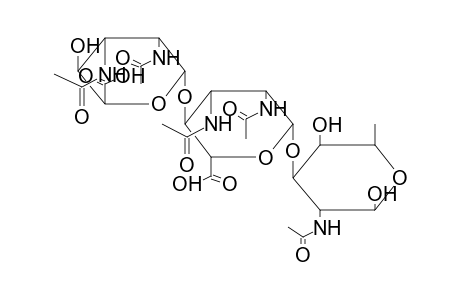 BETA-TRISACCHARIDE 3 (FROM PSEUDOMONAS AERUGINOSA O)