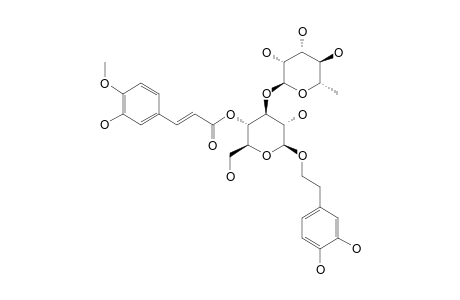 PHTEIROSPERMOSIDE;3,4-DIHYDROXY-BETA-PHENETHYL-O-ALPHA-L-RHAMNOPYRANOSYL-(1->3)-4-O-ISOFERULOYL-BETA-D-GLUCOPYRANOSIDE