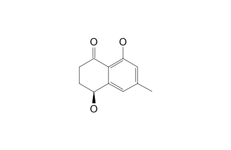 SHINANOLONE