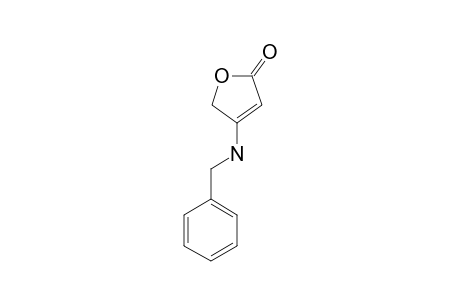 4-BENZYLAMINO-BUT-2-ENOLIDE