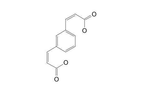 [(2Z),(2'Z)]-3,3'-(1,3-PHENYLENE)-DIACRYLIC-ACID