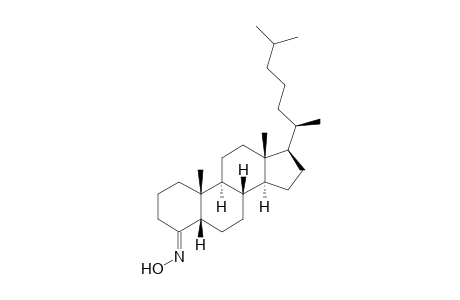 5.beta.-Cholestan-4-one-oxime