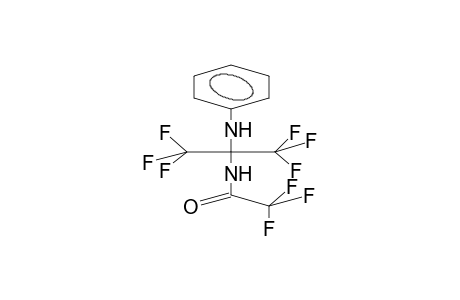 N-(ALPHA-TRIFLUOROACETYLAMINOHEXAFLUOROISOPROPYL)ANILINE