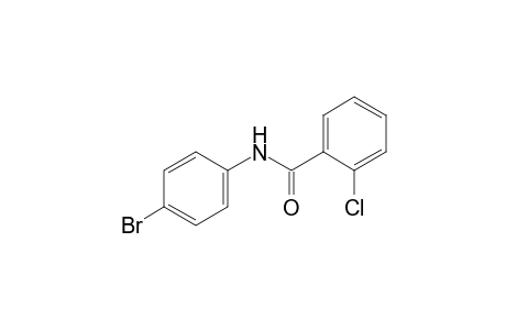 4'-bromo-2-chlorobenzanilide