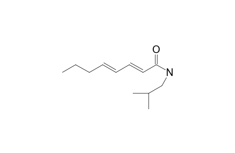 OCTA-2E,4E-DIENOCIC_ACID_ISOBUTYLAMIDE