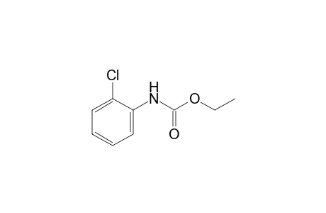 o-chlorocarbanilic acid, ethyl ester