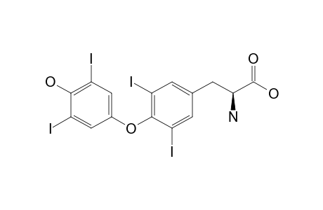 THYROXINE;T4