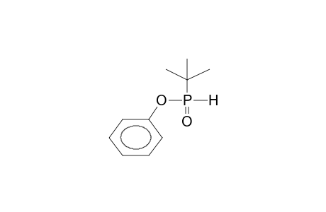 PHENYL TERT-BUTYLPHOSPHONOUS ACID