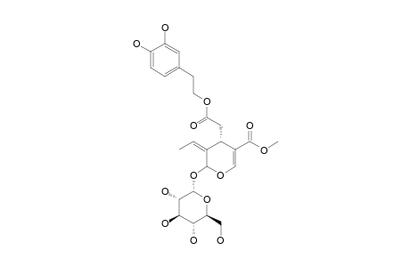 OLEUROPEIN