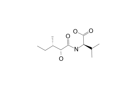 2-R-HYDROXY-3-S-METHYLVALERIC_ACID-R-VALINE