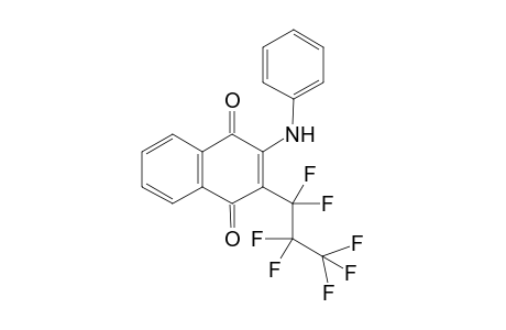 2-Anilino-3-(perfluoropropyl)-1,4-naphthoquinone