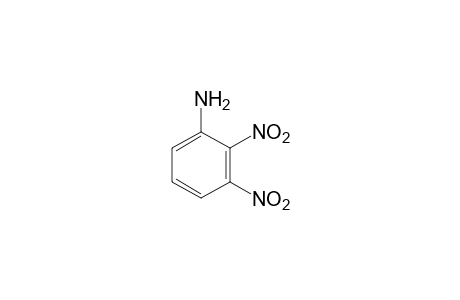 2,3-dinitroaniline