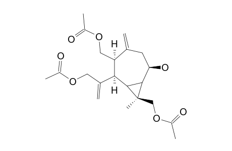 PLAGIOCHILINE-P