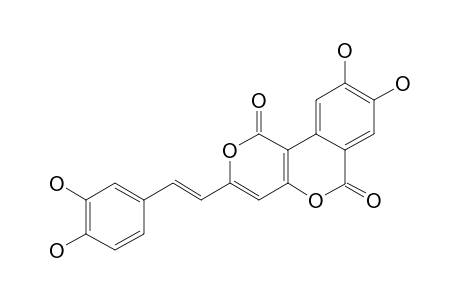 PHELLIGRIDIN_D;3-(3,4-DIHYDROXYSTYRYL)-8,9-DIHYDROPYRANO-[4.3-C]-ISOCHROMENE-4-ONE