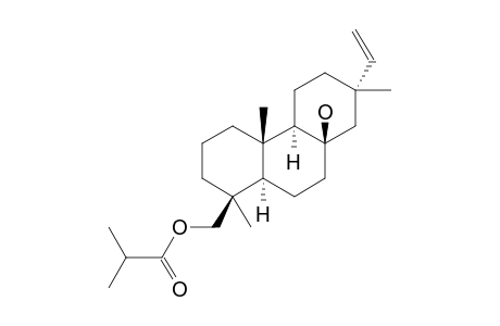 19-ISOBUTYRYLOXY-8-BETA-HYDROXY-15-ISOPIMARENE