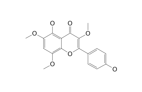 5,4'-DIHYDROXY-3,6,8-TRIMETHOXYFLAVONE