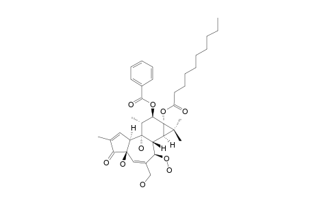 STELLERACIN_D