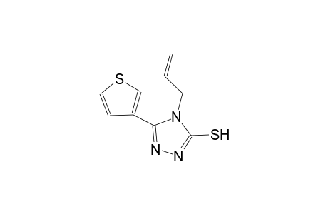 4-Allyl-5-thiophen-3-yl-2,4-dihydro-[1,2,4]triazole-3-thione