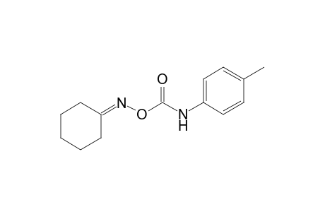 cyclohexanone, O-(p-tolylcarbamoyl)oxime