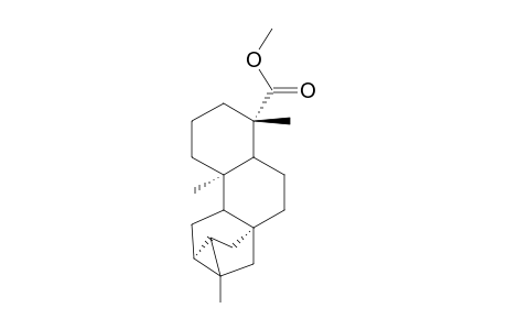 METHYL-ENT-TRACHYLOBAN-19-OATE