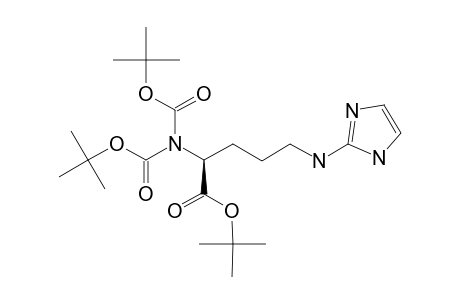 2-[BIS-(TERT.-BUTYLOXYCARBONYL)-AMINO]-5-(IMIDAZOL-2-YLAMINO)-PENTANOIC_ACID_TERT.-BUTYLESTER