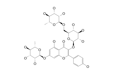 3-O-[ALPHA-L-RHAMNOPYRANOSYL-(1->6)-BETA-D-GLUCOPYRANOSYL]-7-O-ALPHA-L-RHAMNOPYRANOSYL-KAEMPFEROL