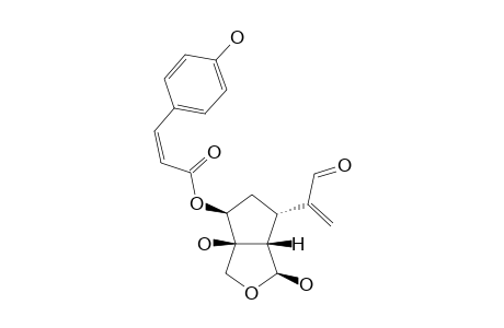 LUZONIAL-B