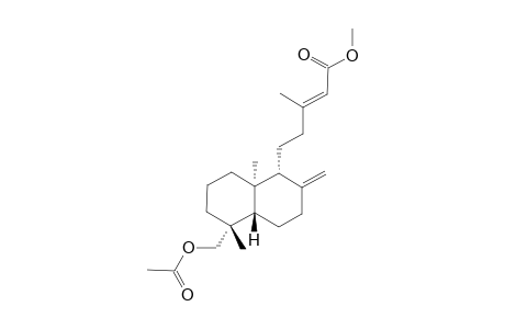 19-ACETOXY-ENT-LABDA-8(17),13E-DIEN-15-OIC-ACID-METHYLESTER