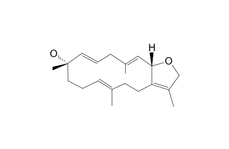 SARCOPHYTON-C