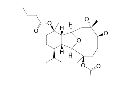 PACHYCLADIN_A