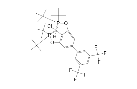 PARA-AR-(C)-PCP-IR-HCL