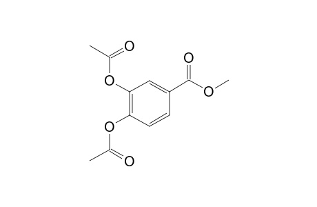 Protocatechuic acid ME2AC         @